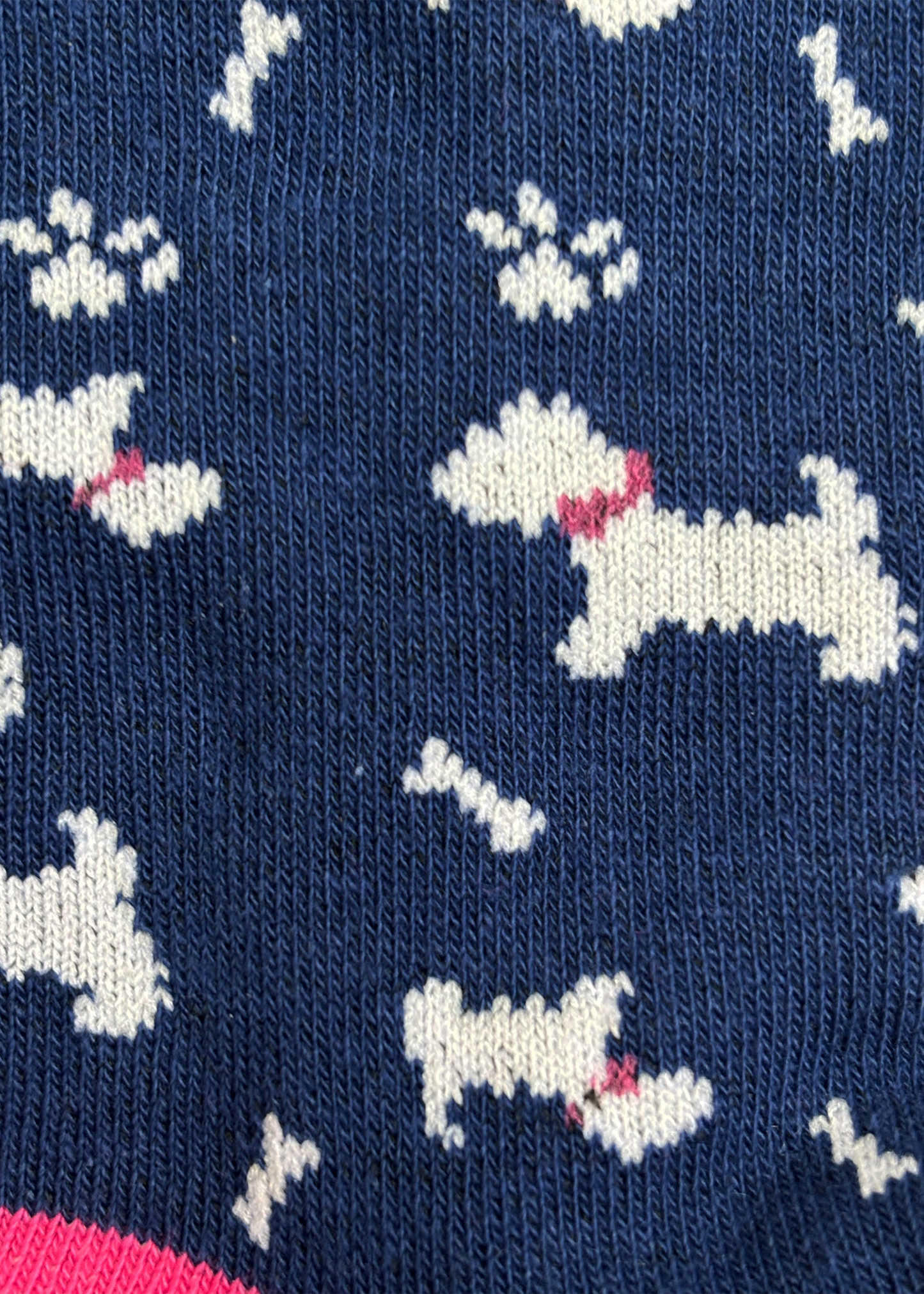 Puppy Socks